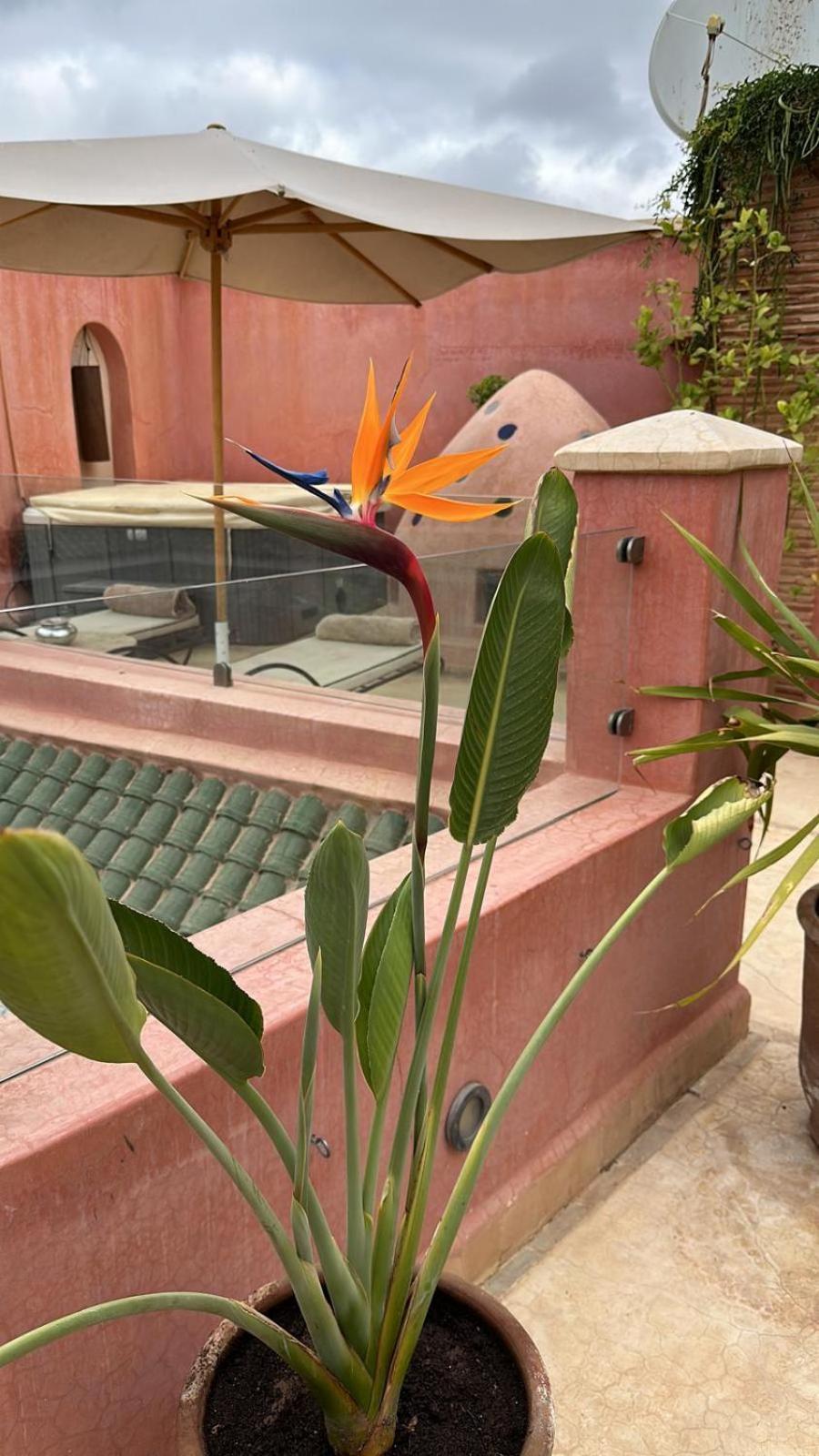 Riad Dar Ten Marrakesh Exteriör bild